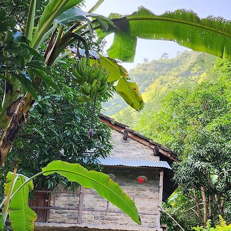 Hobo Huts By The Riverside Panuanaula Exterior foto