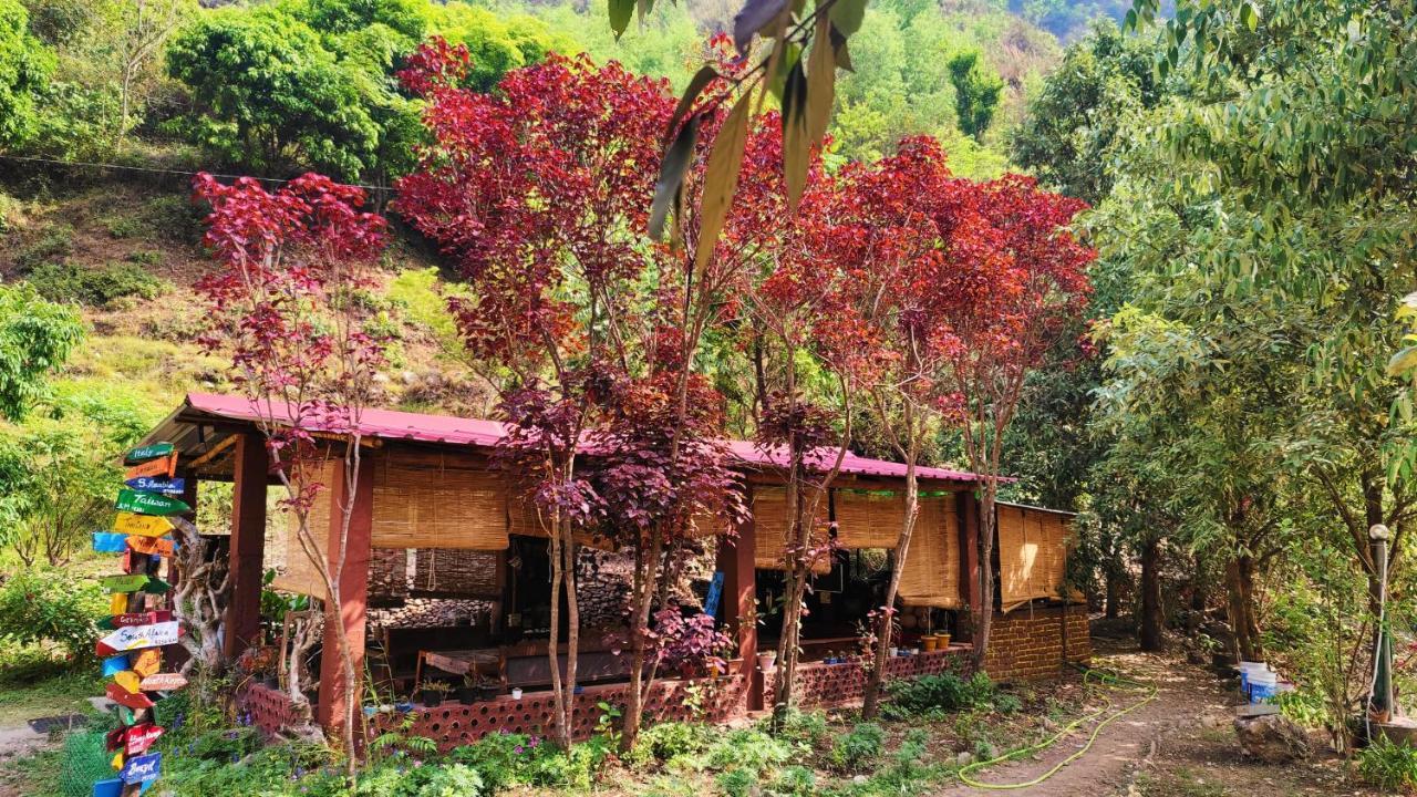Hobo Huts By The Riverside Panuanaula Exterior foto
