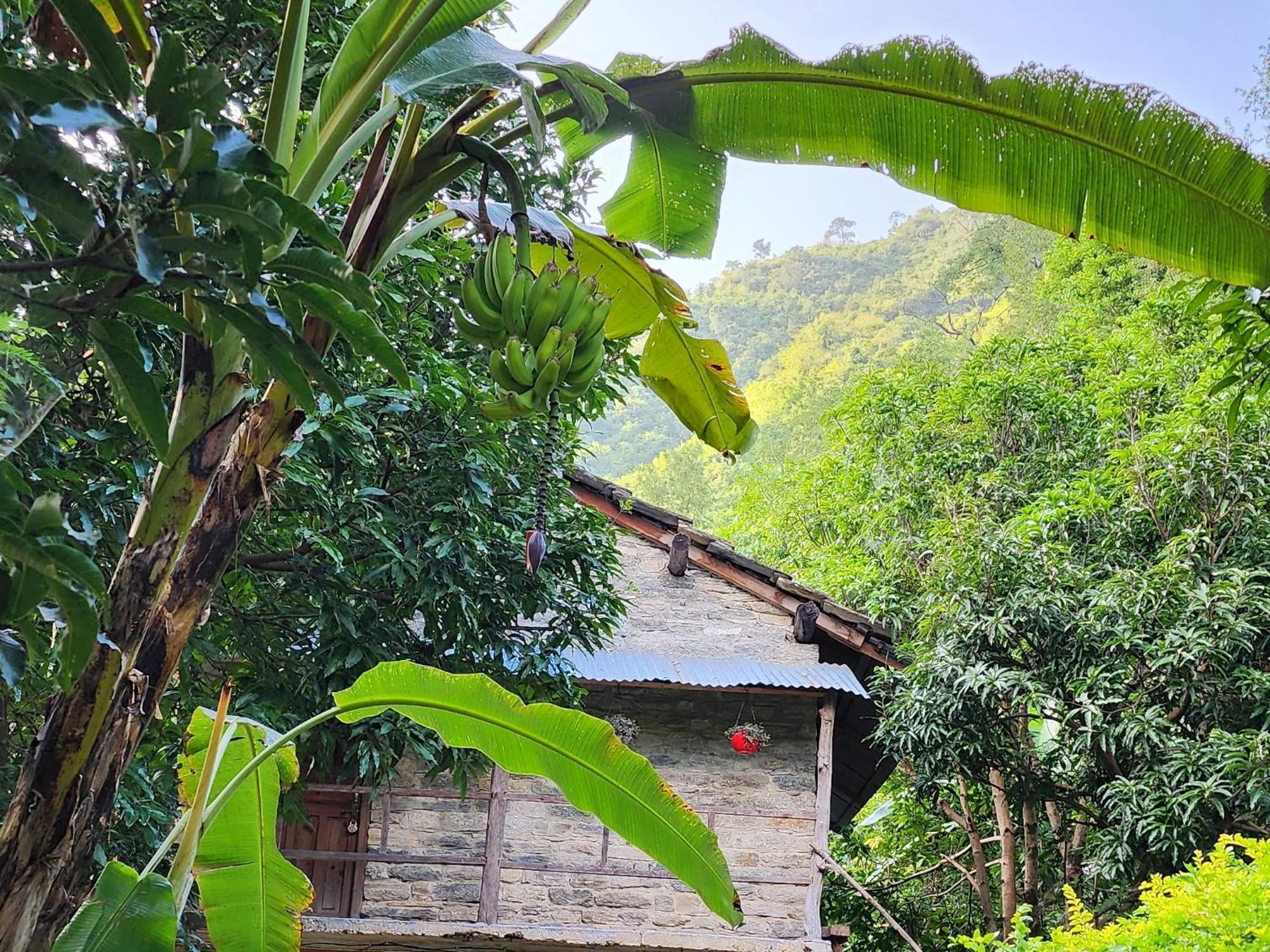 Hobo Huts By The Riverside Panuanaula Exterior foto